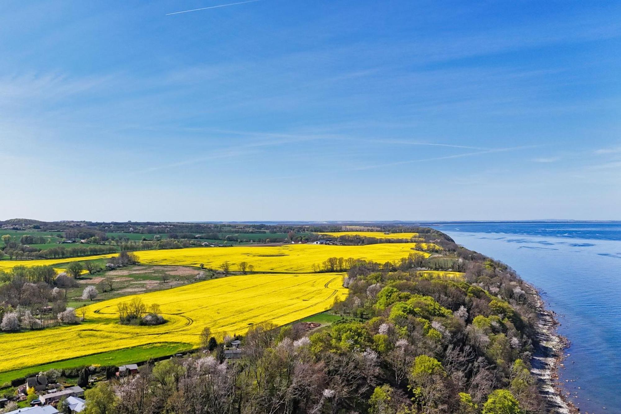 Ferienwohnung Mit Traumhaftem Meerblick - Haus Am Meer Fewo 02 Lohme Buitenkant foto
